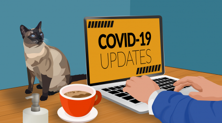 Person reading Covid-19 updates online